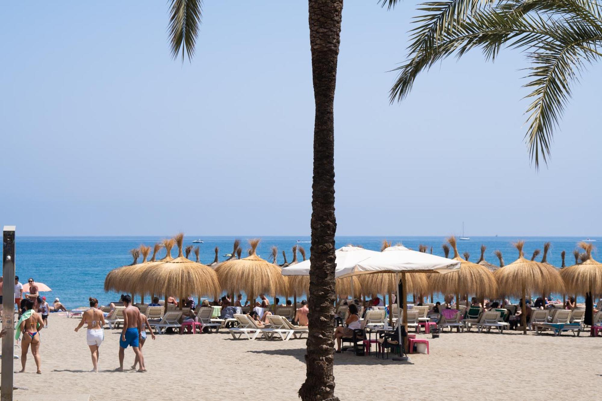 Oasis Lomas Del Club Appartement *