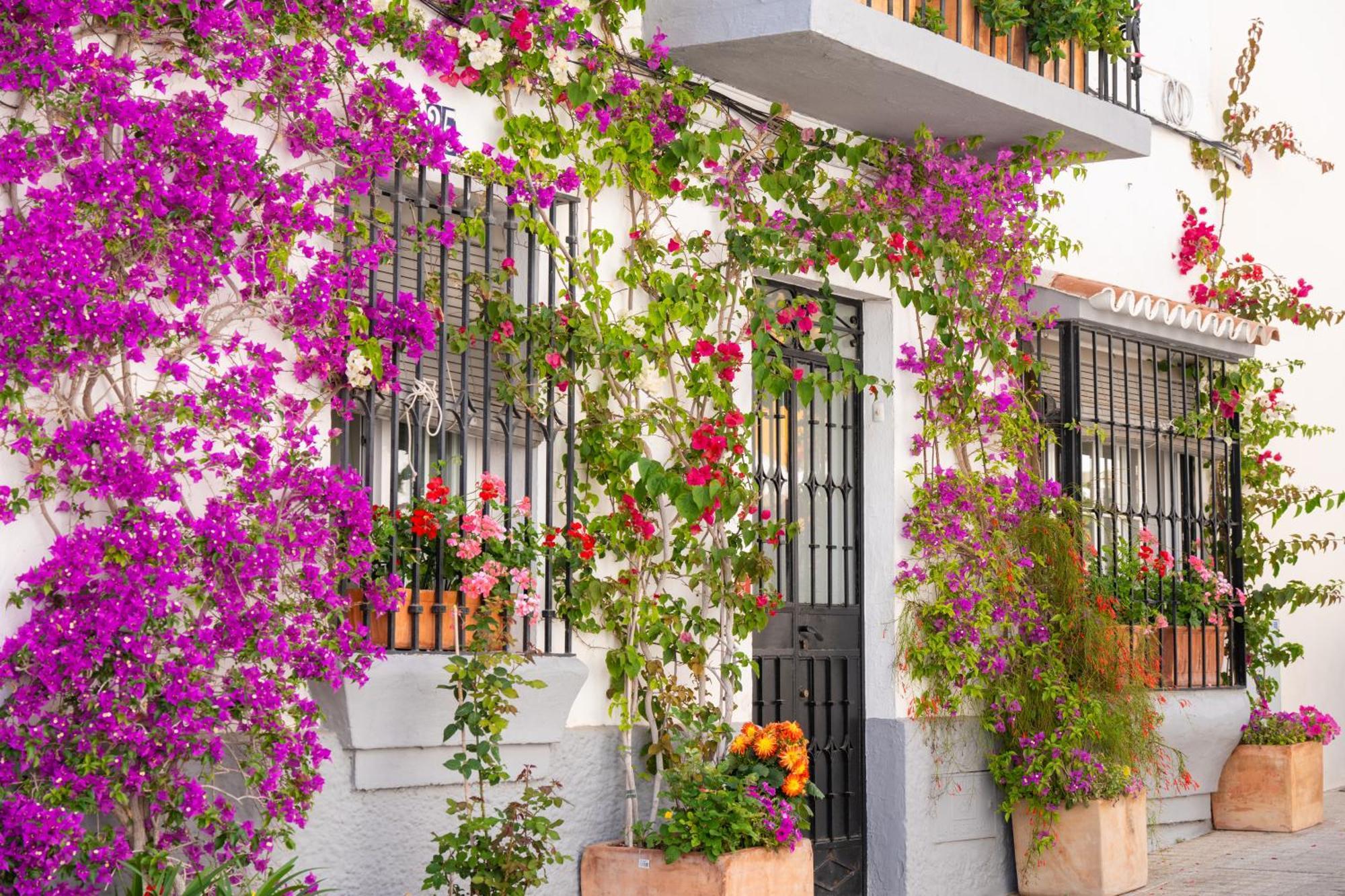 Appartement Oasis Lomas Del Club
