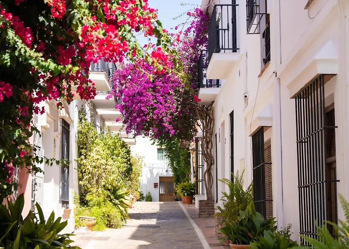 Oasis Lomas Del Marbella Club