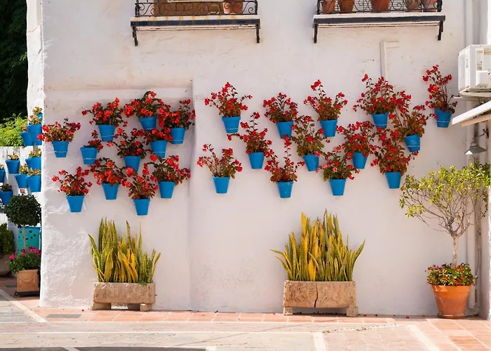 Oasis Lomas Del Marbella Club